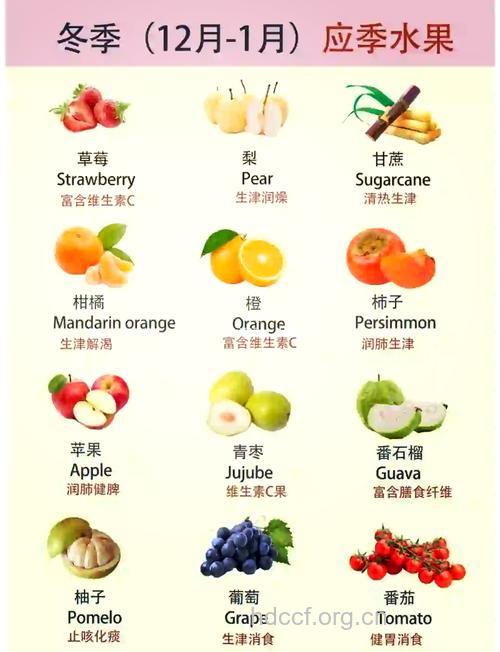 冬季吃什么水果最佳
