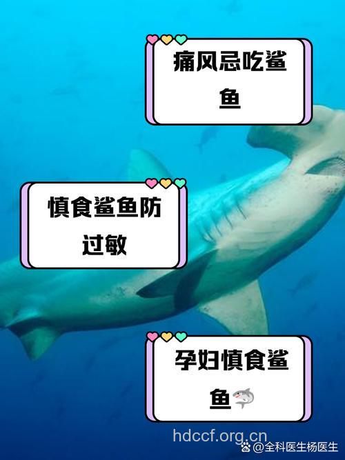 不宜多吃鱼的四类人
