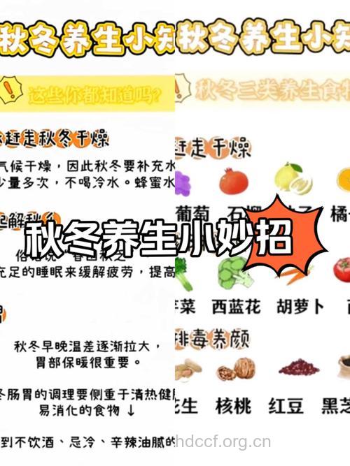 秋季如何做到低温养生