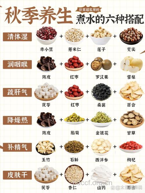 秋季养生保健吃什么好