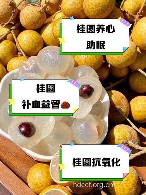 女性冬季吃桂圆的好处多