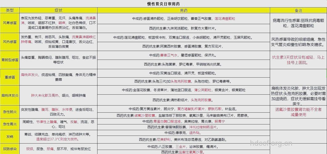 肾功能不全有哪些用药方法