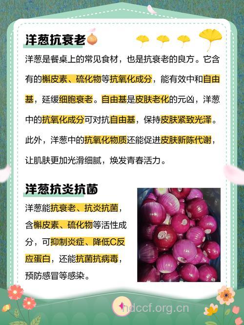 让你爱上洋葱的13个理由