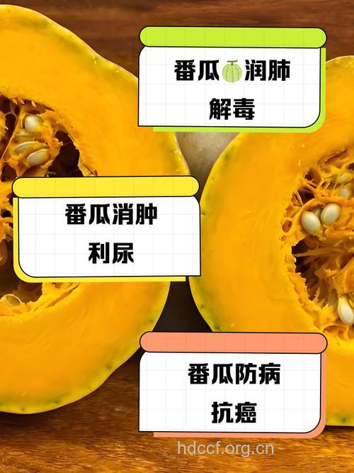 夏季清脂排毒必选六种瓜