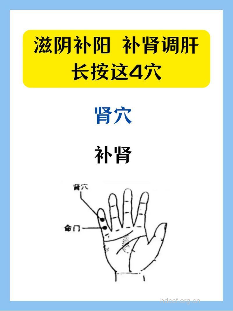 男性需补肾 补肾就按四个穴位