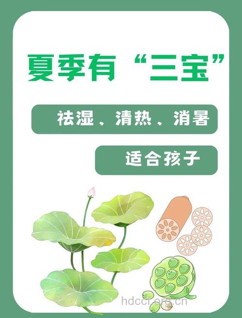 夏日三宝你喝了吗