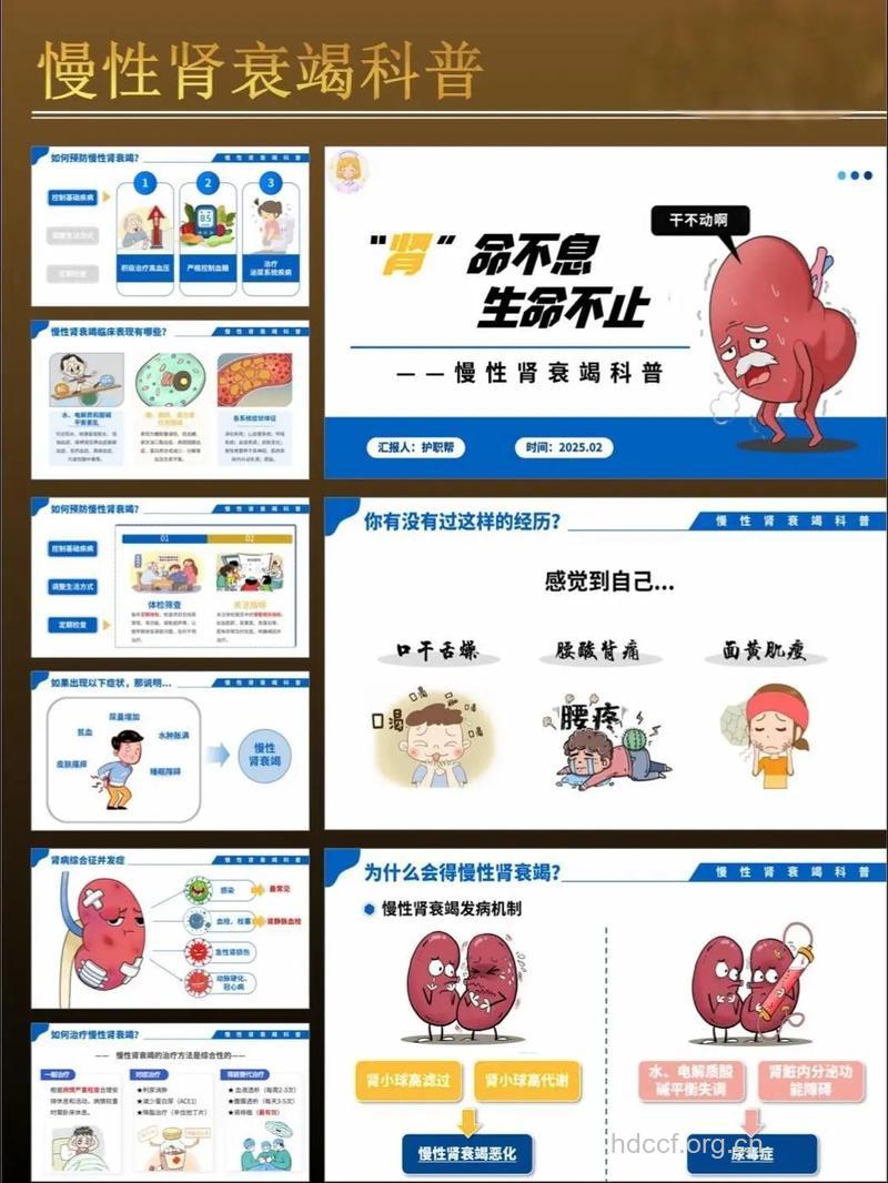 关于肾衰治疗有哪些关键点