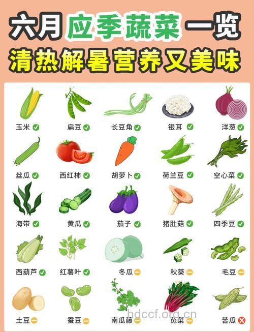 夏天多吃凉性蔬菜