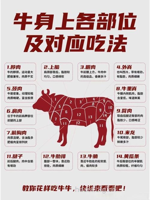 夏季吃牛肉健身又进补