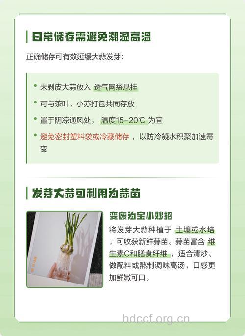 大蒜发芽了可以吃吗