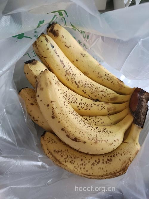 斑点香蕉到底有多厉害