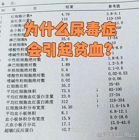 尿毒症患者为什么会发生贫血