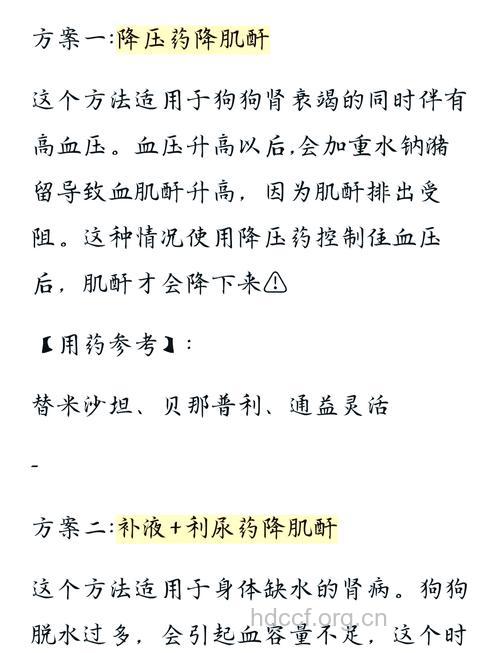 怎么诊断肾衰竭方法