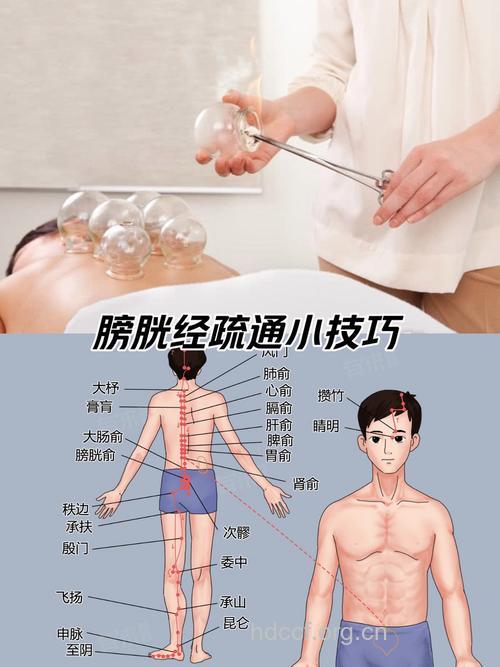 男人如何保养膀胱 推荐4个方法