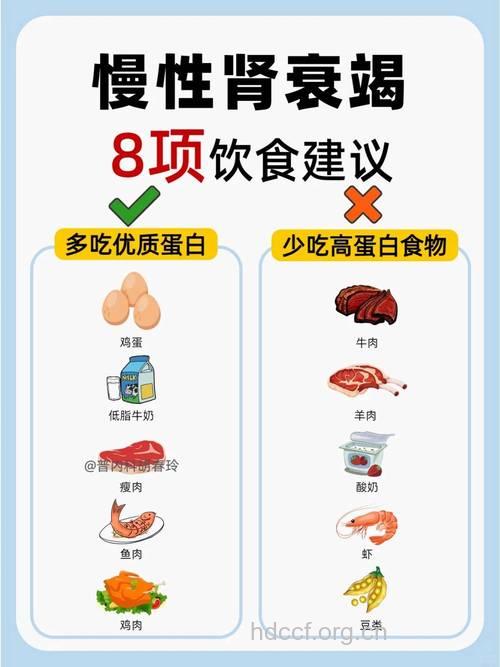 哪些饮食因素导致慢性肾衰
