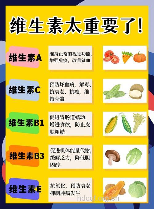 素食主义者需补充的6种营养元素