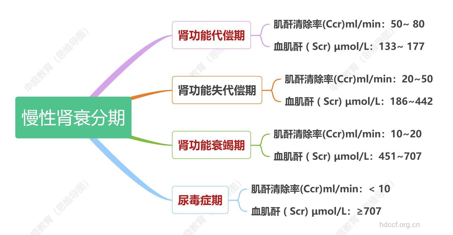 慢性肾衰有哪些分期方法