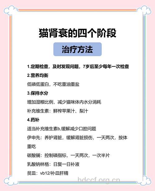 怎么防治肾衰竭方法