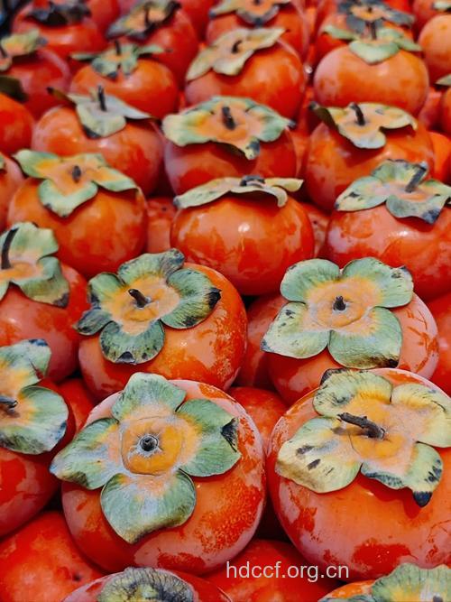 秋季护发吃什么水果好