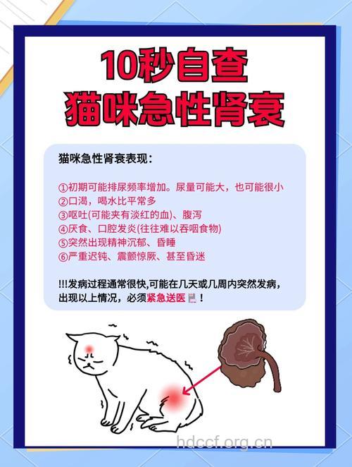 居家哪些方法可治疗急性肾衰竭