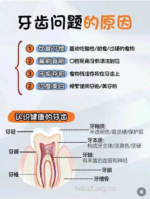 引起牙齿问题的因素有哪些