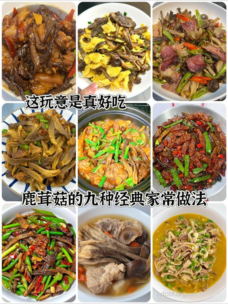 各种蘑菇的正确的烹饪方法