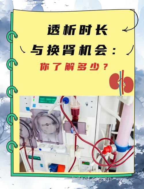 换肾为什么要先做透析
