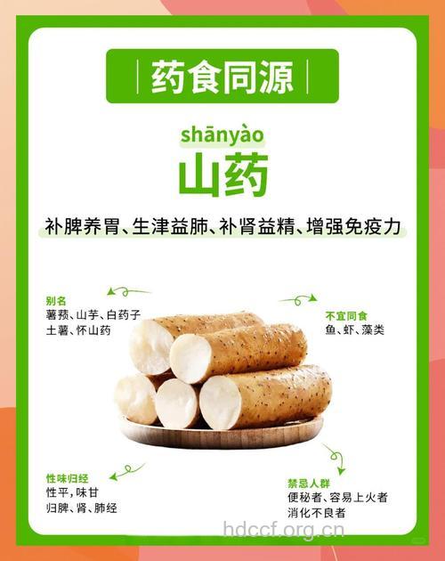 山药为什么能延年益寿