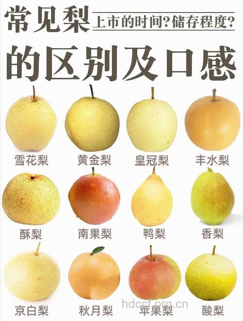 十二种梨的独特风味