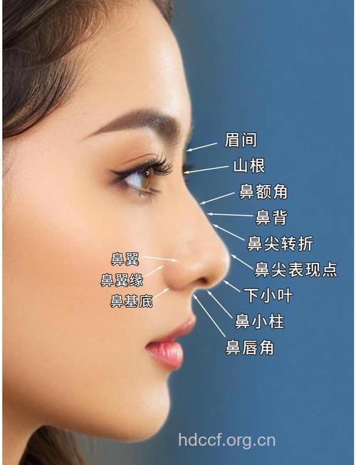 常见的隆鼻组织有哪些