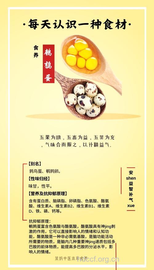 鹌鹑蛋的九个食补秘方