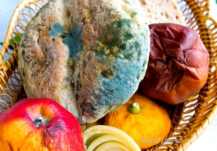 夏季冷藏食品也会长霉