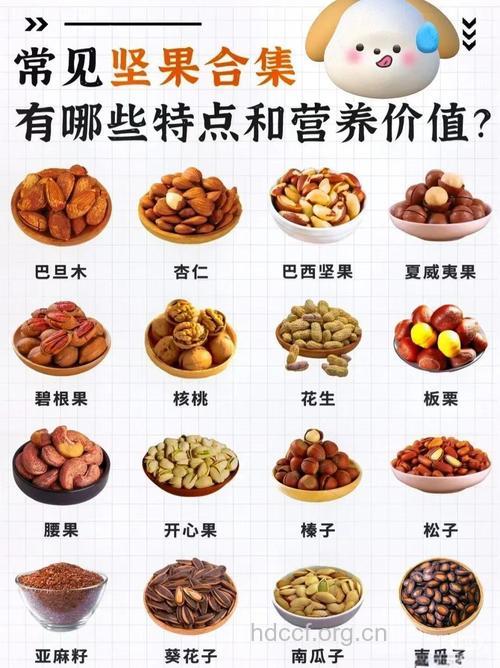 各种坚果的营养价值