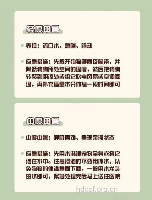 夏天如何预防“热衰竭”