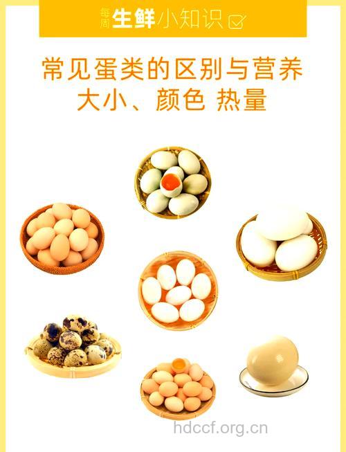 女性应该多吃的三种蛋