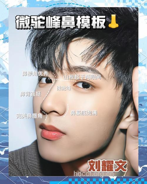 男人怎样才能拥有完美的鼻子