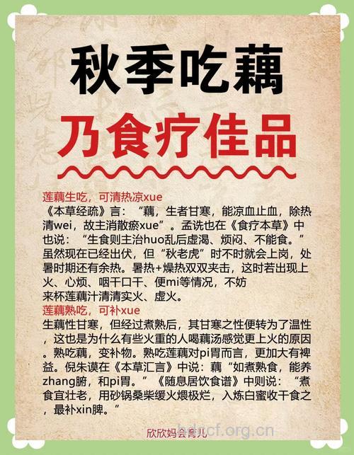 秋季吃藕有什么好处