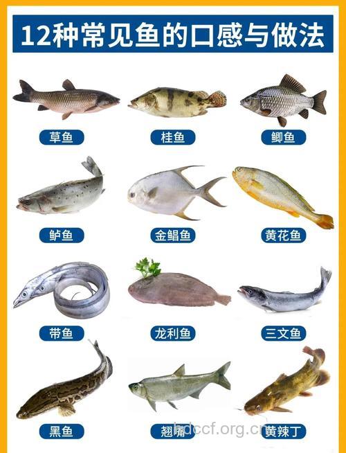 秋季最适合吃十二种鱼