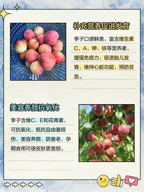 孕妇吃李子的八大好处