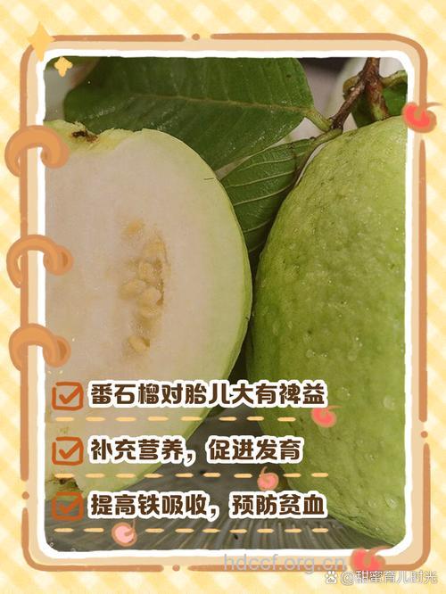 孕妇吃番石榴对胎儿的好处