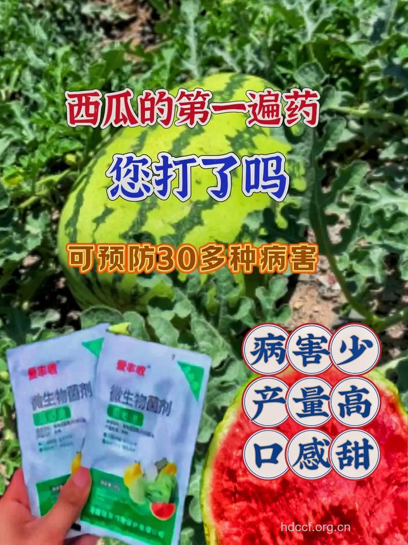 夏季瓜果谨防农药