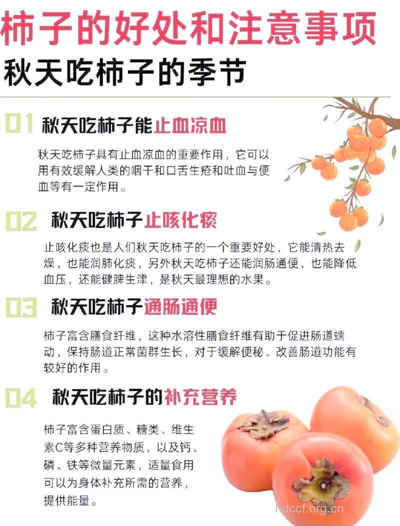 盘点吃柿子常见的好处