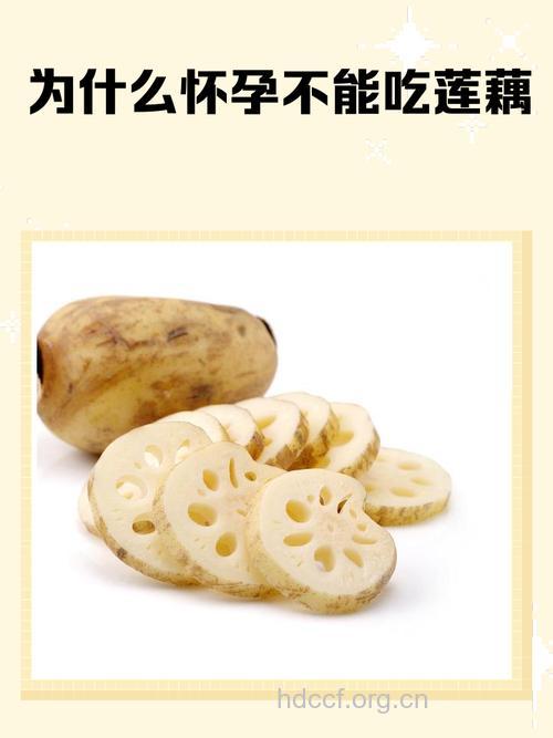为什么吃莲藕能去掉啤酒肚?