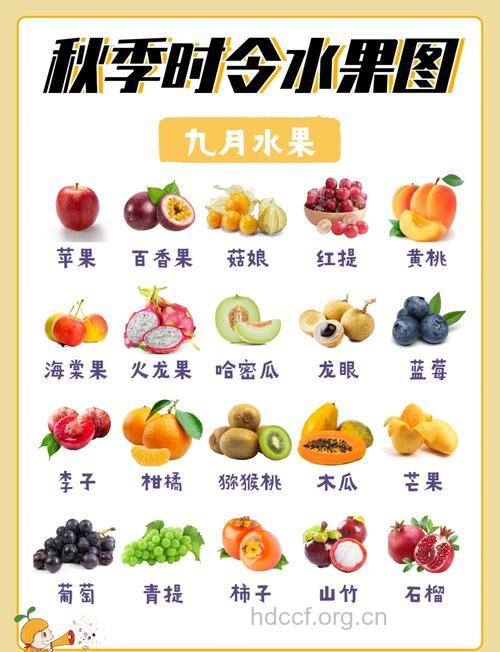 盘点秋季必吃的水果