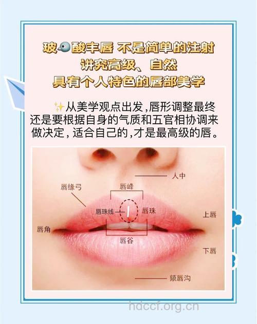 口唇完美的标准是什么
