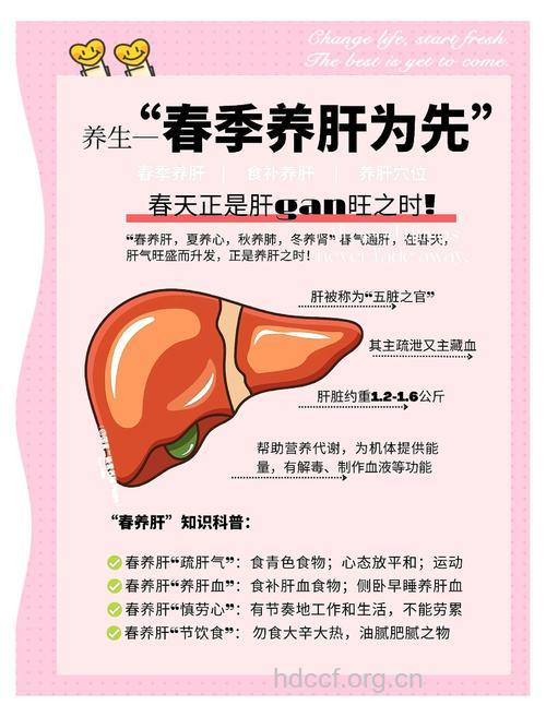 春季养生：4招教你如何保护你的肝