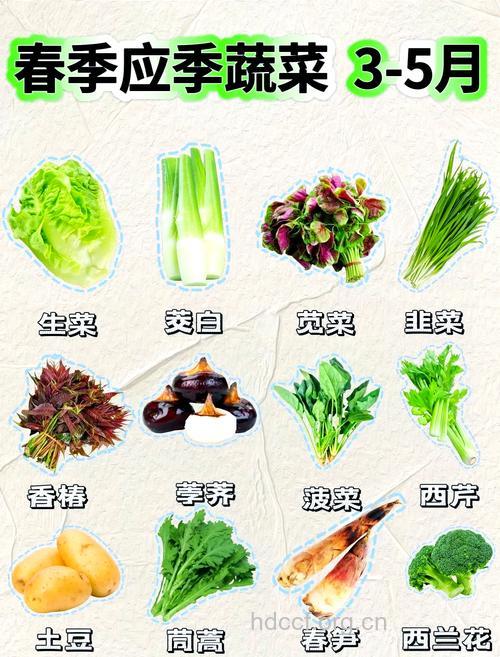 春夏交接之际要适量增加蔬菜