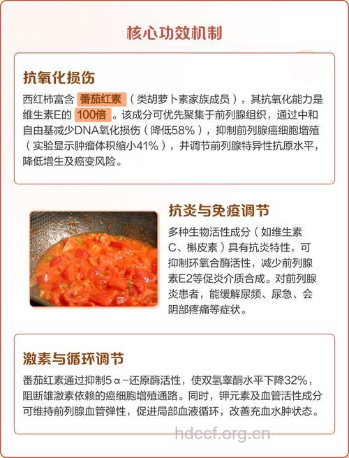 番茄保护前列腺 7种食物保护前列腺