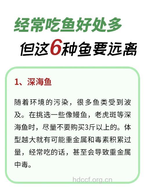 吃鱼有什么好处和禁忌呢