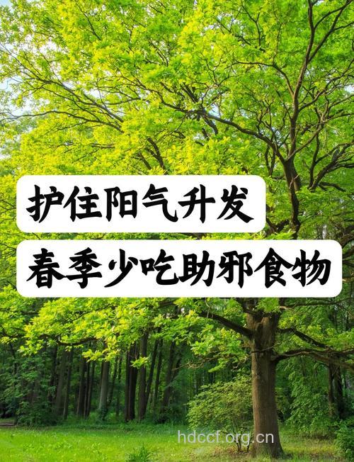 春季饮食帮你防邪风侵